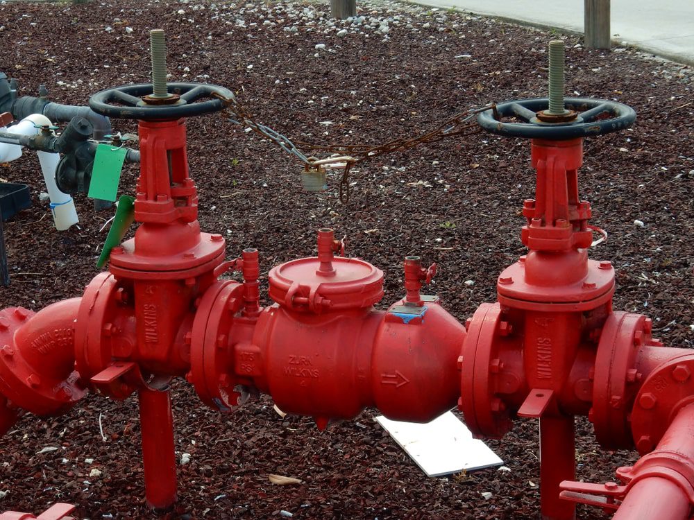 Water Backflow Preventer